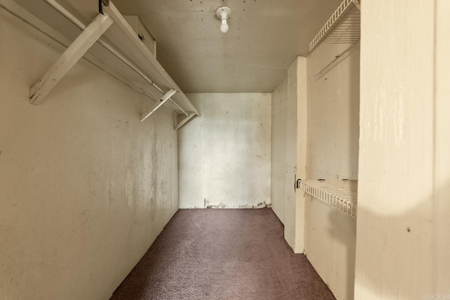 walk in closet with dark colored carpet
