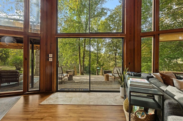 doorway featuring wood finished floors and a towering ceiling