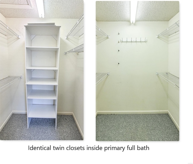 walk in closet featuring carpet