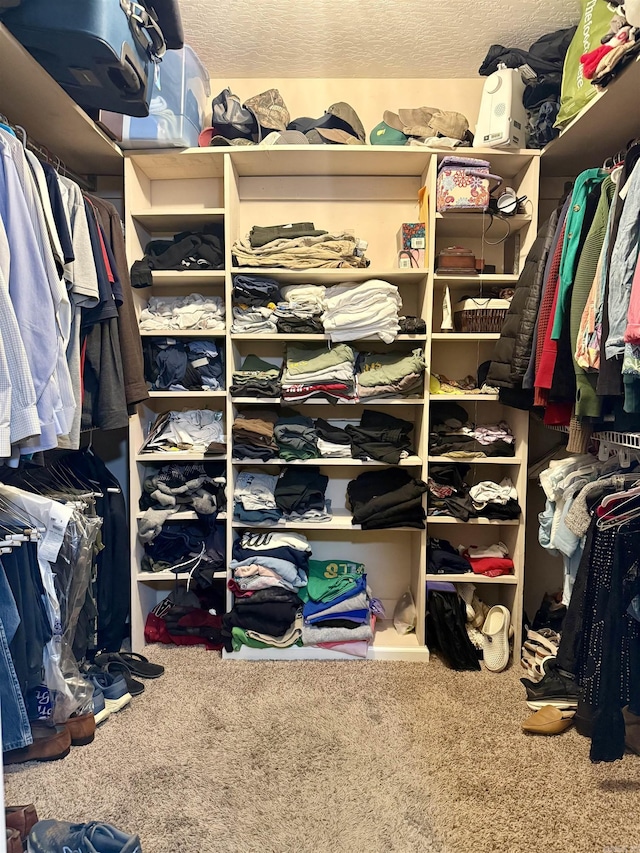 walk in closet featuring carpet floors
