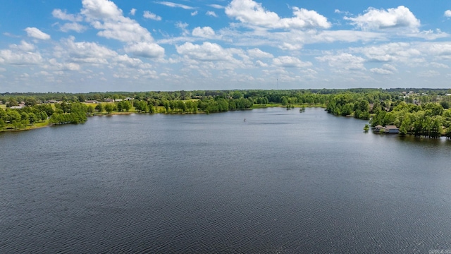 property view of water with a view of trees