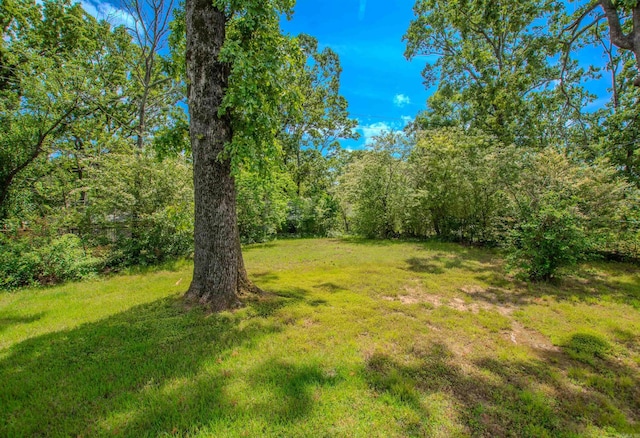 view of yard with a wooded view