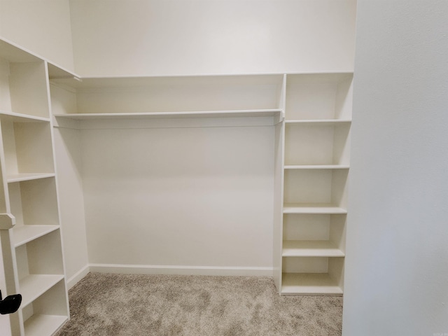 spacious closet with carpet floors