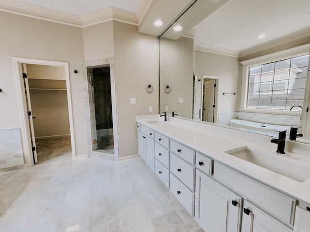 bathroom featuring a shower stall, a spacious closet, ornamental molding, and a sink