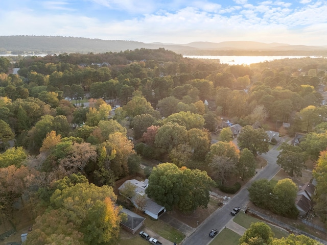 24 Yazoo Cir, Maumelle, AR 72113 - bird's eye view featuring a view of trees and a water view