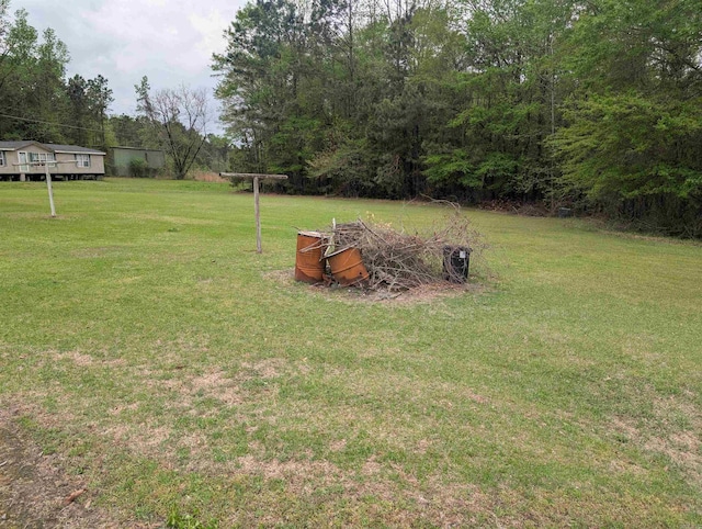 view of yard