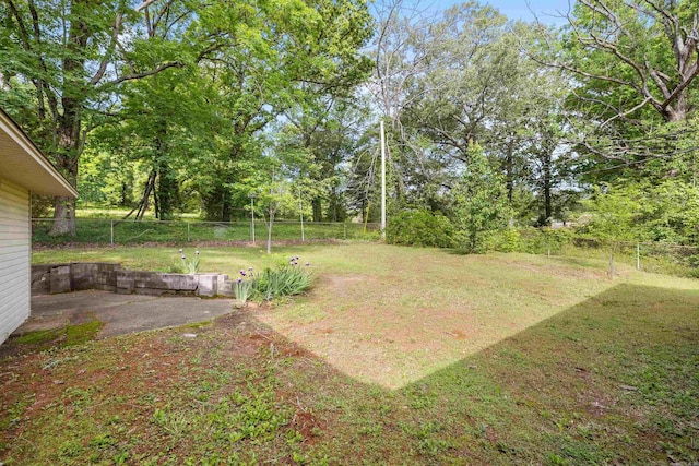 view of yard with a fenced backyard and a patio area