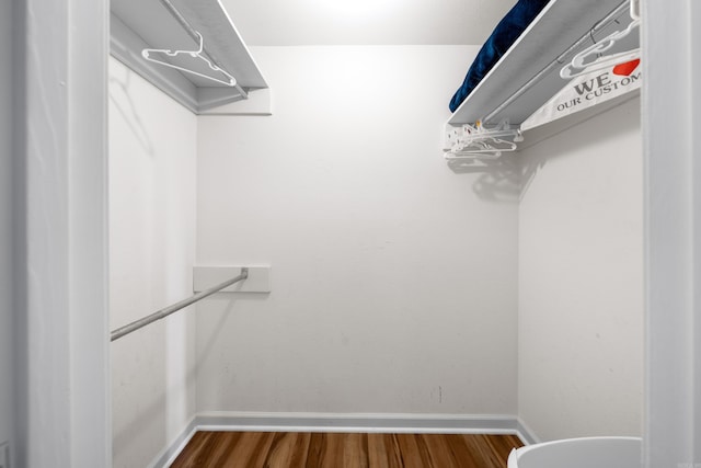 350 Peters Pt Unit L1, Hot Springs, AR 71913 - spacious closet featuring wood finished floors