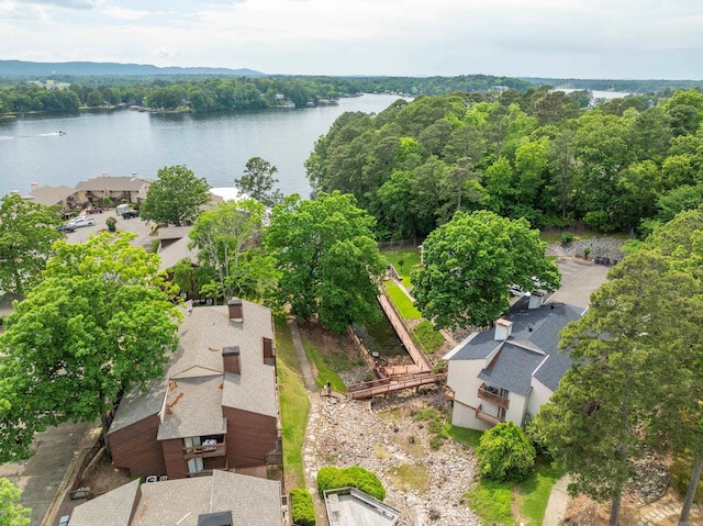 350 Peters Pt Unit L1, Hot Springs, AR 71913 - birds eye view of property featuring a water view and a wooded view
