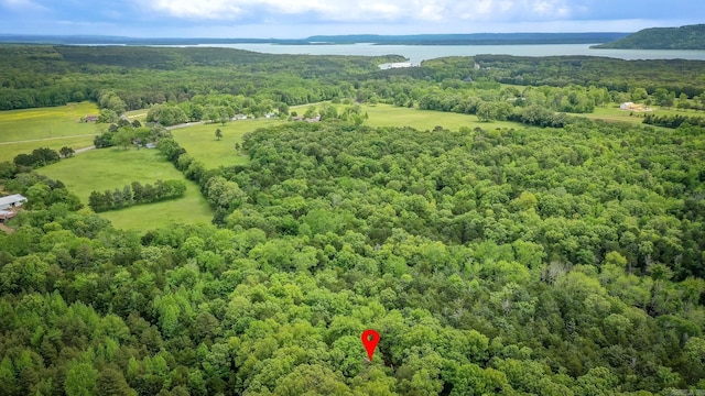 143 Hurricane Dr, Greers Ferry, AR 72067 - bird's eye view featuring a water view and a forest view