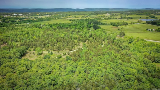 143 Hurricane Dr, Greers Ferry, AR 72067 - aerial view with a view of trees