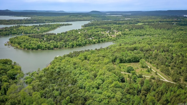 143 Hurricane Dr, Greers Ferry, AR 72067 - bird's eye view with a water view and a wooded view