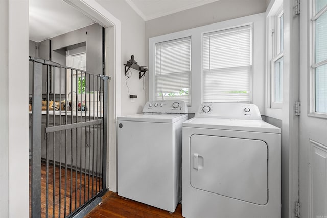 laundry area with crown molding, separate washer and dryer, laundry area, and wood finished floors