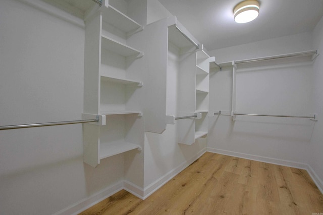 spacious closet featuring wood finished floors