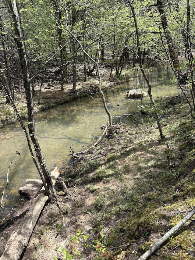 view of local wilderness