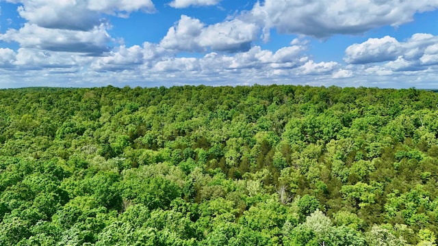 drone / aerial view featuring a wooded view