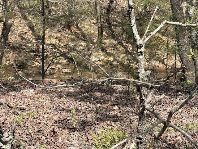 view of nature