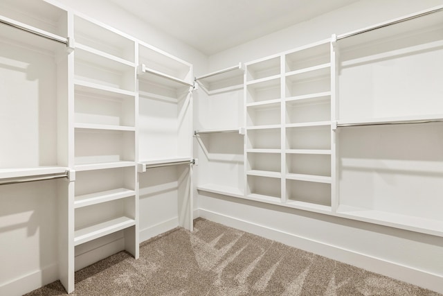 walk in closet featuring carpet