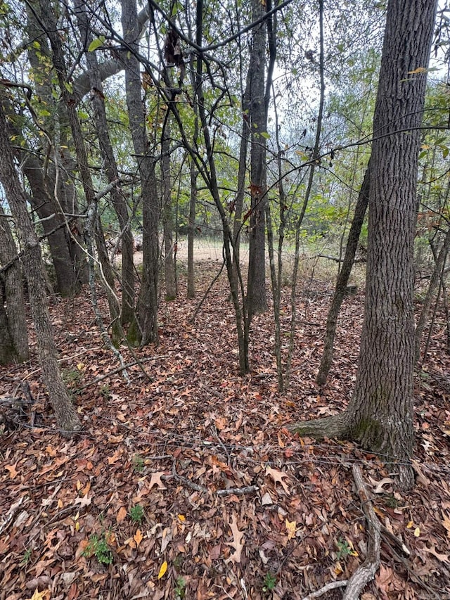 tbd Grant 64, Sheridan, AR 72150