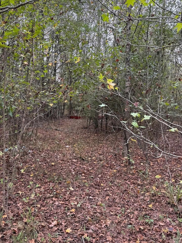 tbd Grant 64, Sheridan, AR 72150