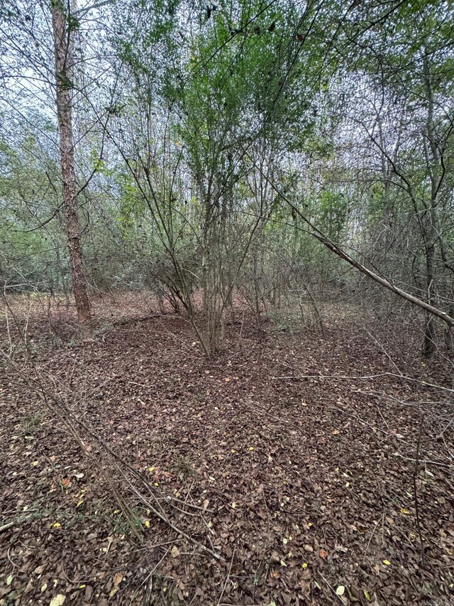 tbd Grant 64, Sheridan, AR 72150