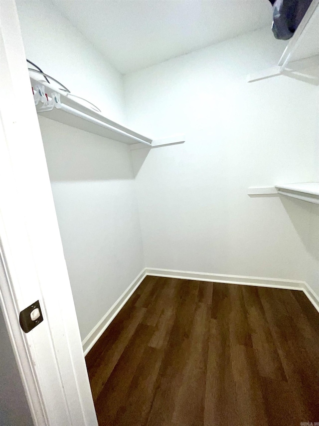 104 Louis, Searcy, AR 72143 - spacious closet with dark wood-style floors