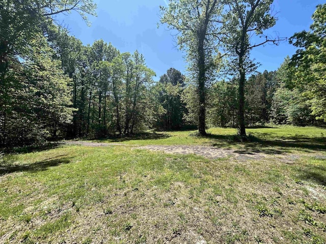view of yard featuring a view of trees
