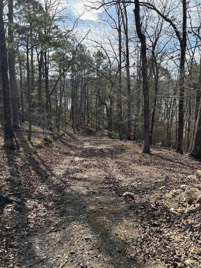view of local wilderness featuring a wooded view
