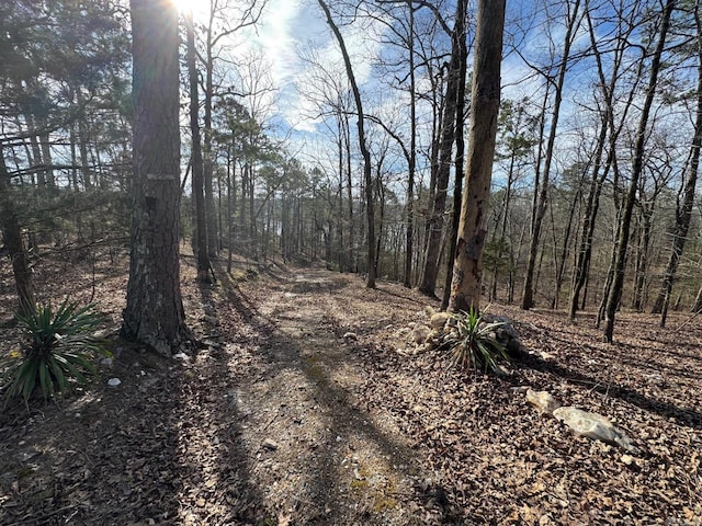 view of street with a forest view