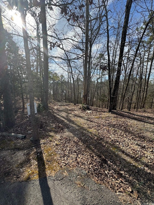 view of street with a forest view
