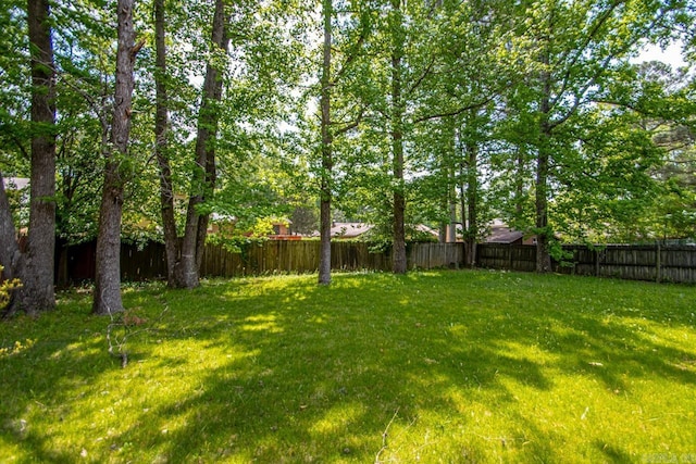 view of yard featuring a fenced backyard