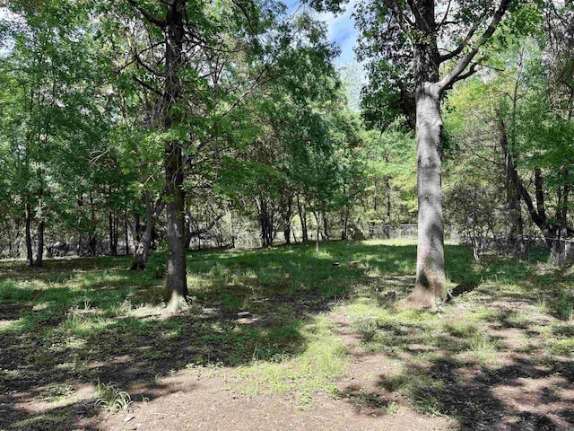 view of local wilderness