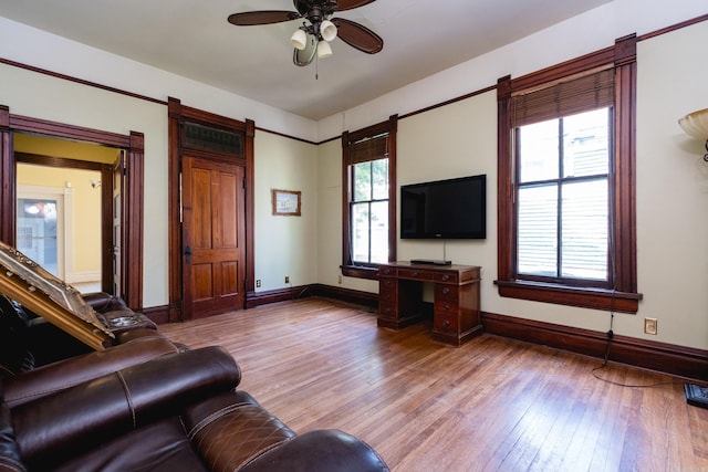 living room featuring baseboards, a ceiling fan, light wood finished floors, and a barn door