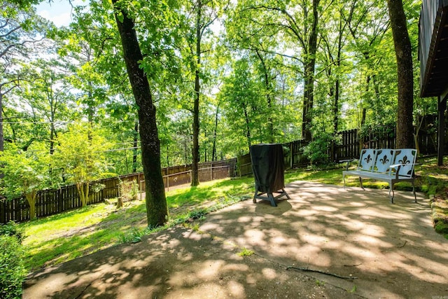 view of yard featuring a patio and a fenced backyard