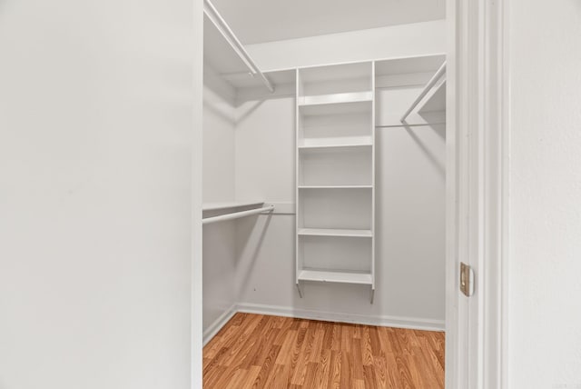 walk in closet featuring light wood-style flooring