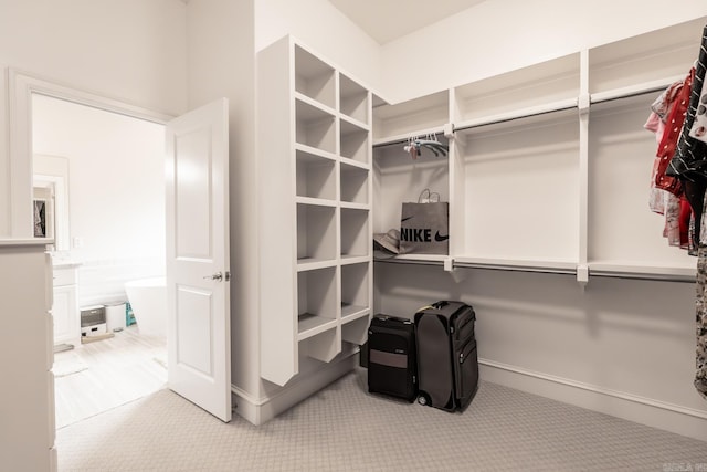 spacious closet featuring carpet