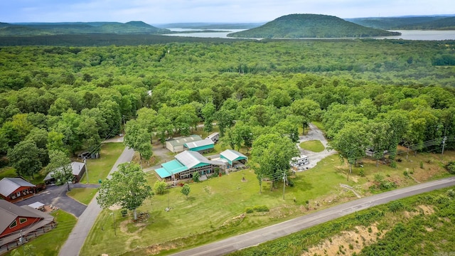 4 Long Hill Rd, Higden, AR 72067 - birds eye view of property featuring a water view and a view of trees