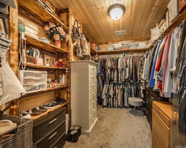 4 Long Hill Rd, Higden, AR 72067 - spacious closet with visible vents and carpet flooring