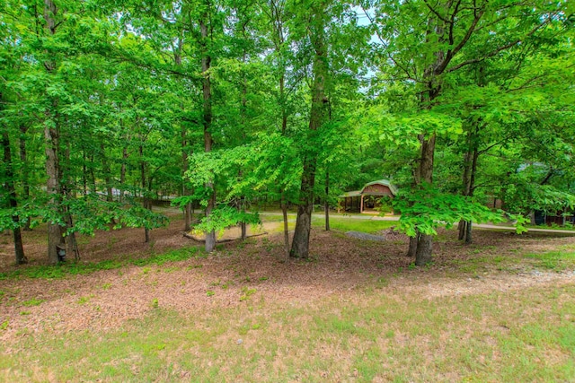 view of yard with a detached carport