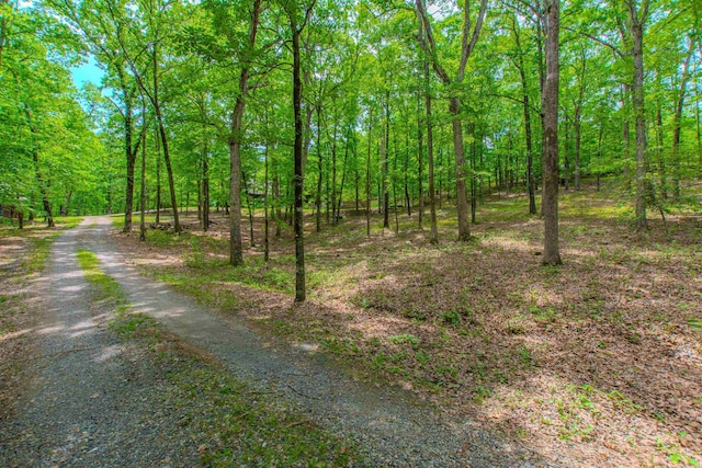 exterior space featuring a forest view