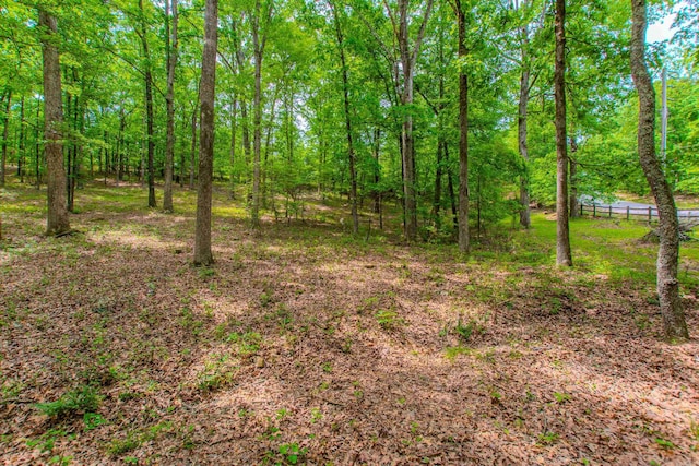 view of local wilderness