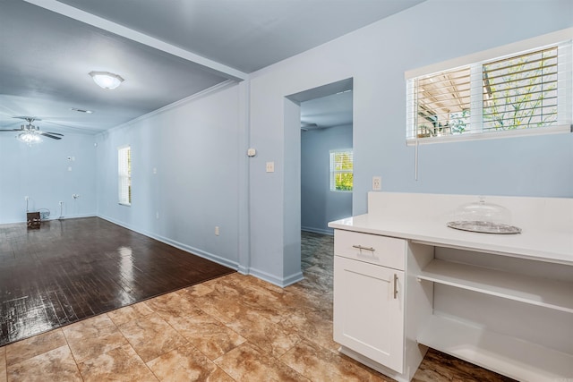 interior space featuring baseboards, plenty of natural light, and a ceiling fan
