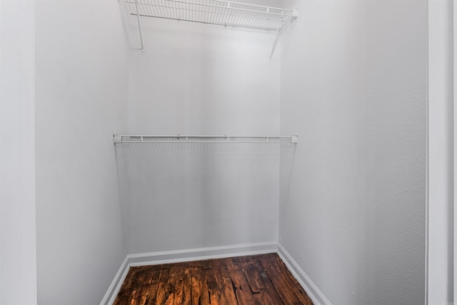 walk in closet with dark wood-style flooring