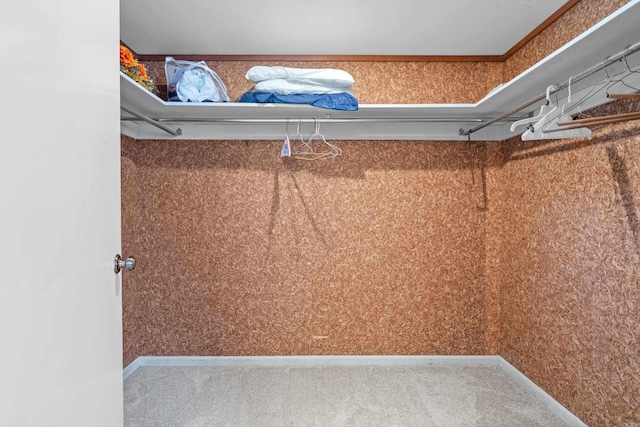 101 Long Island Dr, Hot Springs, AR 71913 - walk in closet featuring carpet
