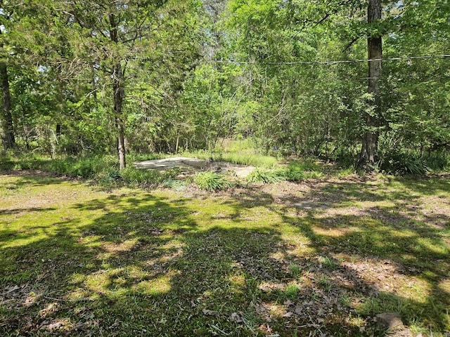 exterior space with a wooded view