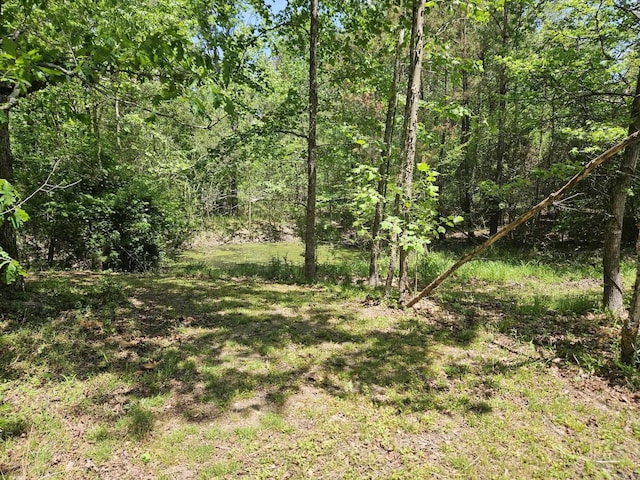 view of nature with a wooded view