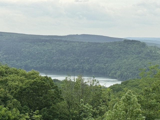 TRACT2 Waters Edge Dr, Edgemont, AR 72044