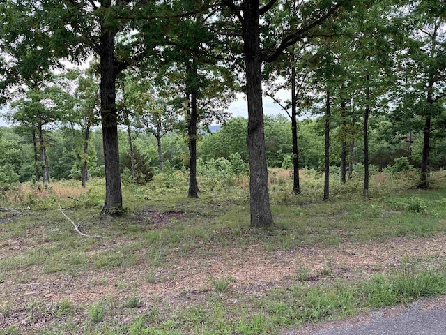 TRACT2 Waters Edge Dr, Edgemont, AR 72044