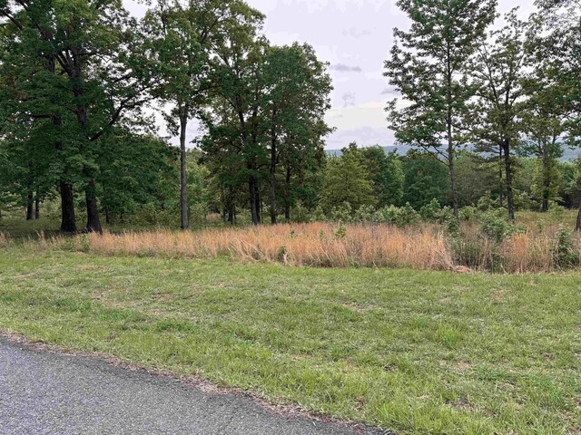 TRACT2 Waters Edge Dr, Edgemont, AR 72044
