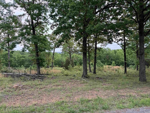 TRACT2 Waters Edge Dr, Edgemont, AR 72044